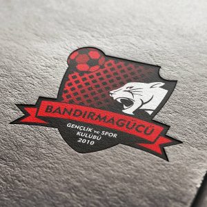 Bandırmagücü Logo Tasarım