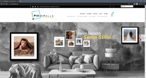 Read more about the article PIXonWALLS – Your Art Your Style – Web Sitesi