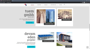 Read more about the article TümYAPI – Yükselen Değerler – Web Sitesi