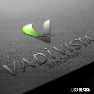 Read more about the article VadiVista Logo Tasarım